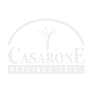 Cassarone